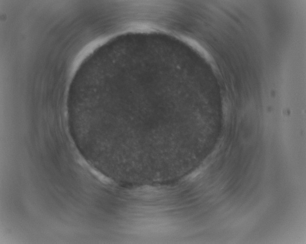 X0000077351327200611101604