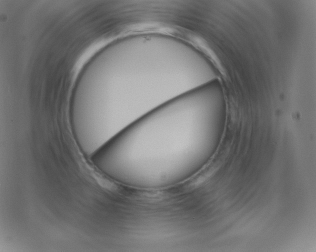 X0000077351328200611101604