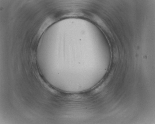 X0000077351329200611101604