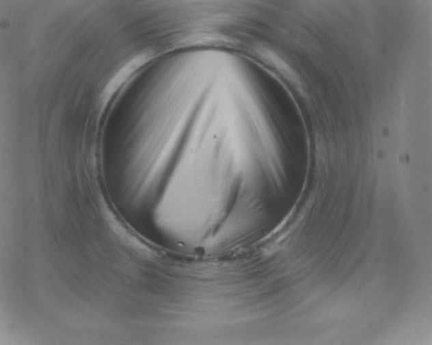 X0000077351330200611101604