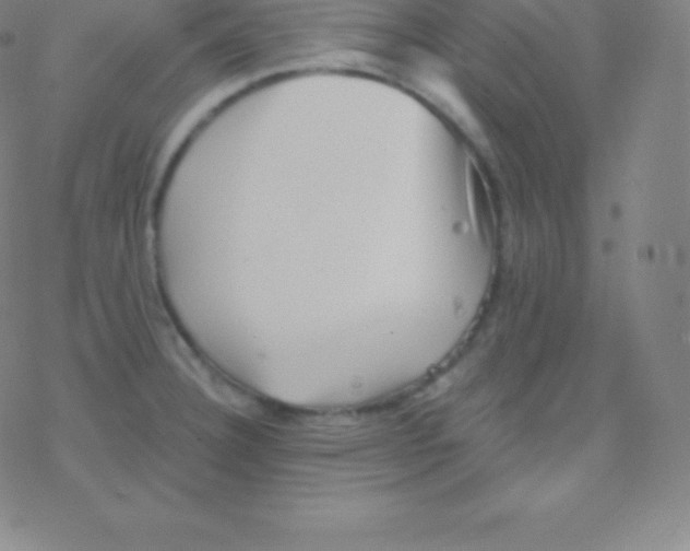 X0000077351332200611101604