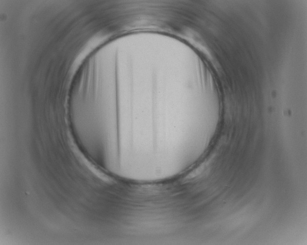 X0000077351333200611101604