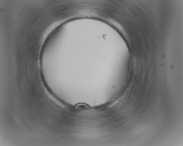 X0000077351335200611101604