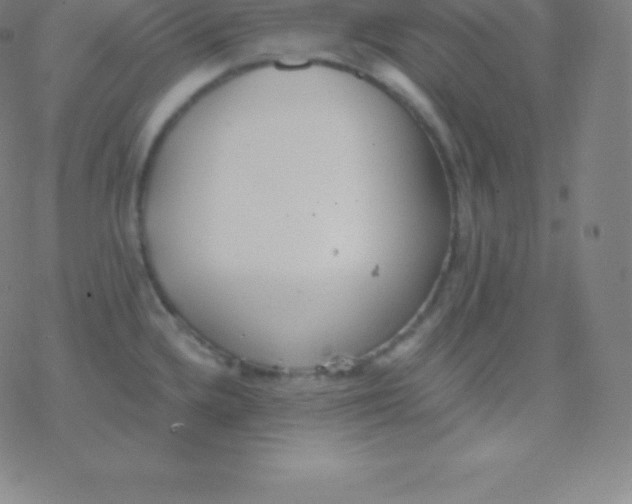 X0000077351336200611101604