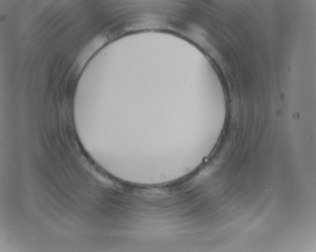 X0000077351337200611101604