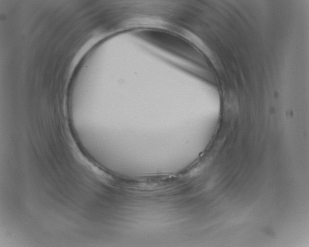 X0000077351339200611101604