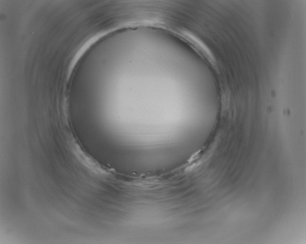 X0000077351340200611101604