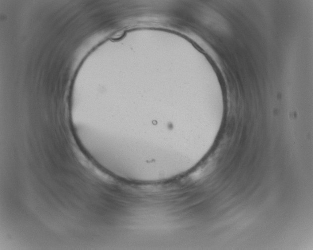 X0000077351341200611101604