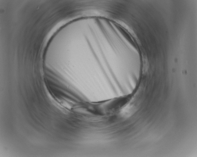 X0000077351342200611101604