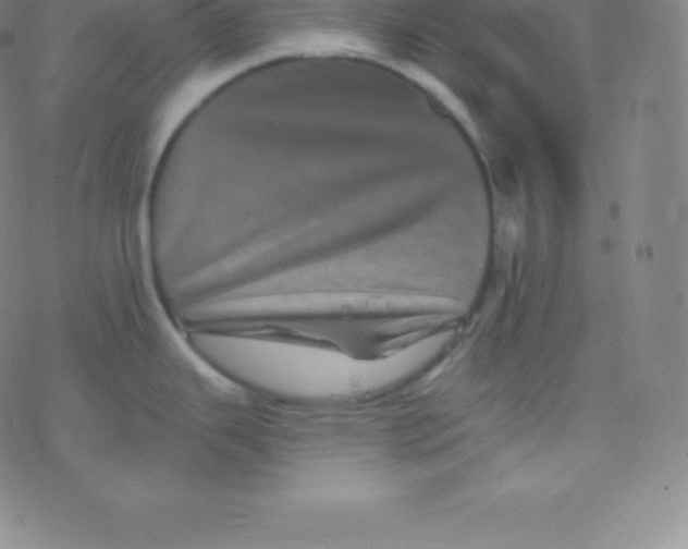 X0000077351343200611101604