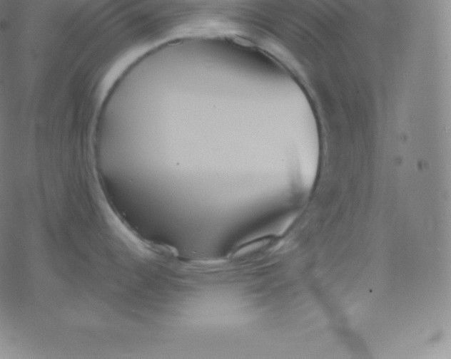 X0000077351344200611101604