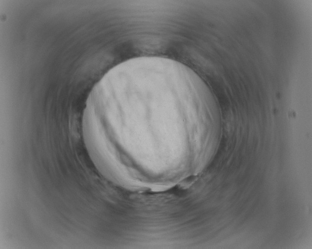 X0000077351346200611101603