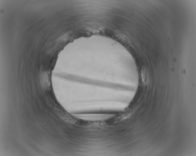 X0000077351347200611101603