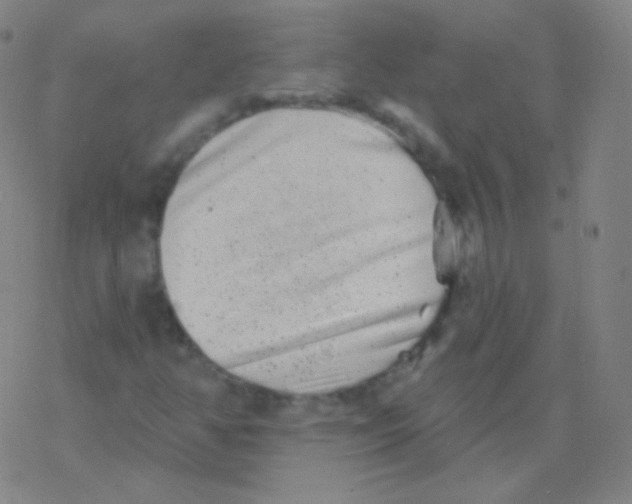 X0000077351350200611101603