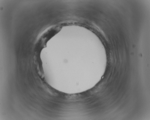 X0000077351352200611101603