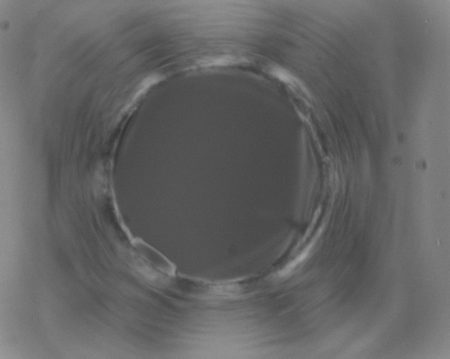 X0000077351353200611101603