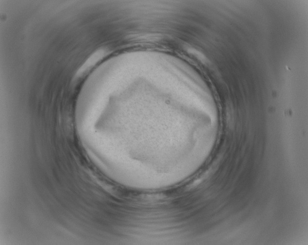 X0000077351354200611101603