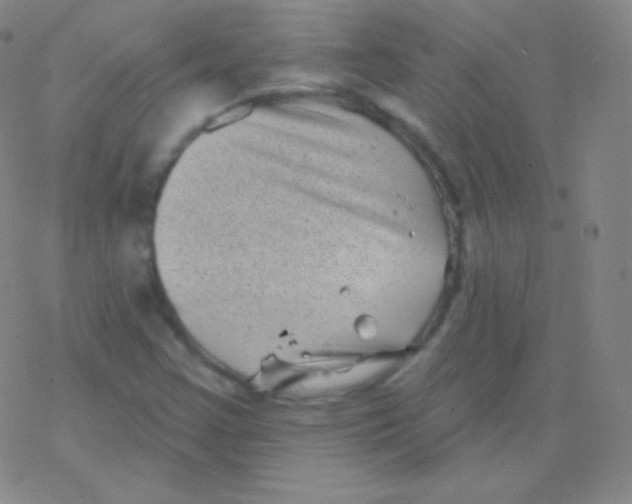 X0000077351355200611101603