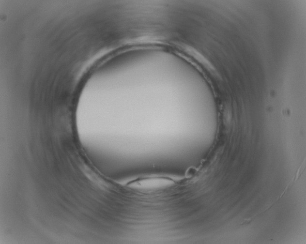 X0000077351356200611101603