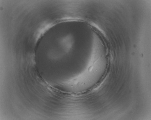 X0000077351357200611101603