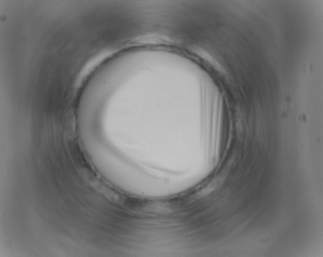 X0000077351358200611101603