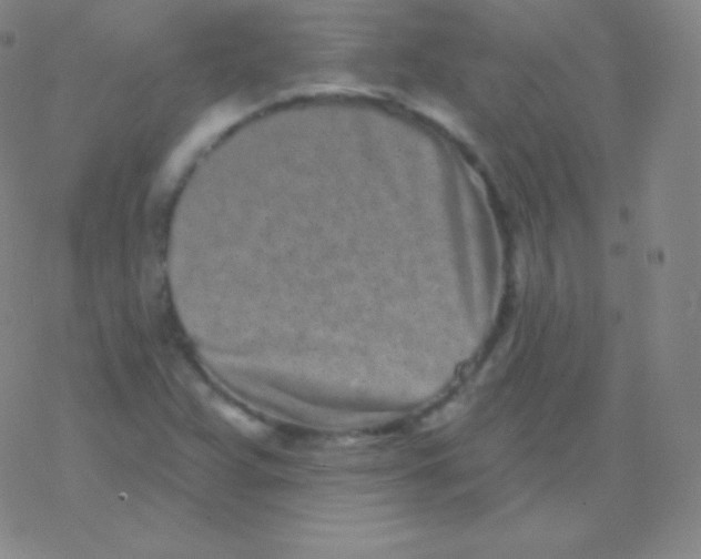 X0000077351359200611101603