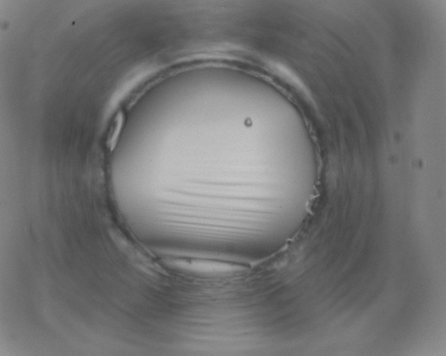 X0000077351360200611101603