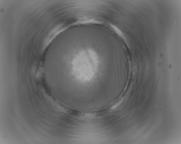 X0000077351361200611101603