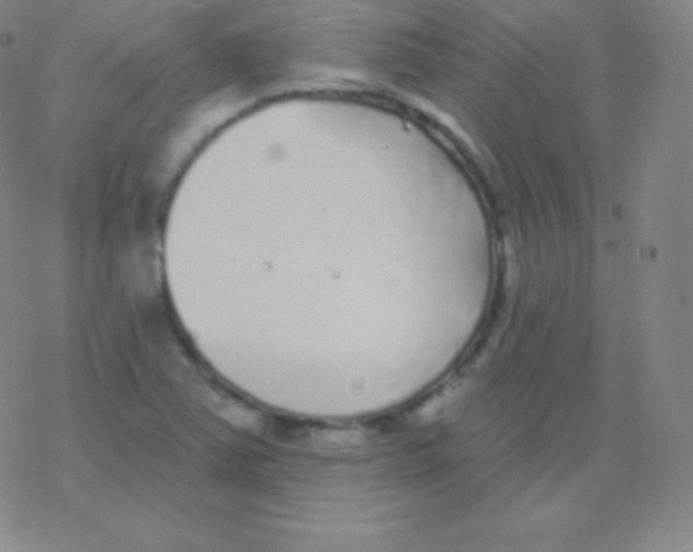 X0000077351363200611101603