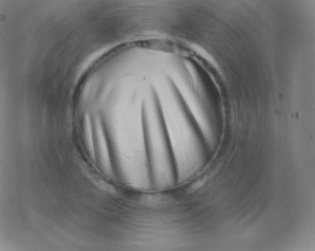 X0000077351364200611101603