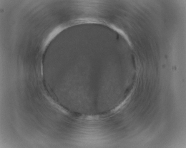 X0000077351365200611101603