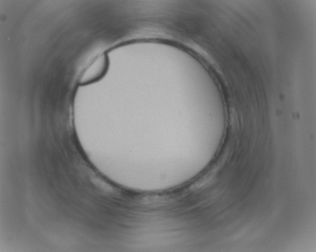 X0000077351366200611101603