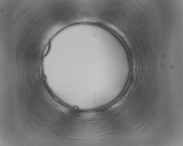 X0000077351367200611101603