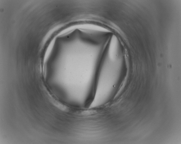 X0000077351368200611101603