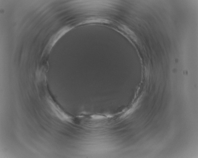 X0000077351369200611101603