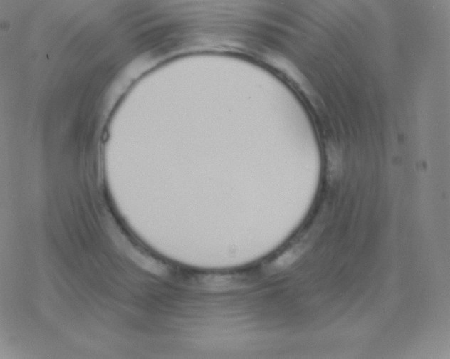 X0000077351371200611101603