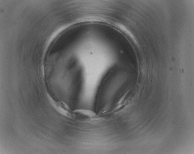 X0000077351372200611101603