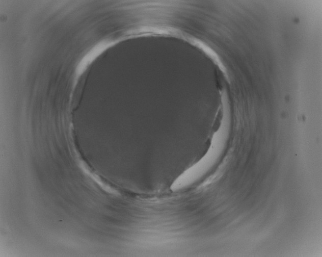 X0000077351373200611101603