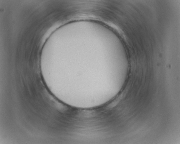 X0000077351374200611101603