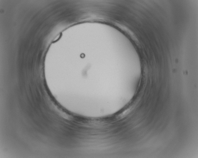 X0000077351375200611101603