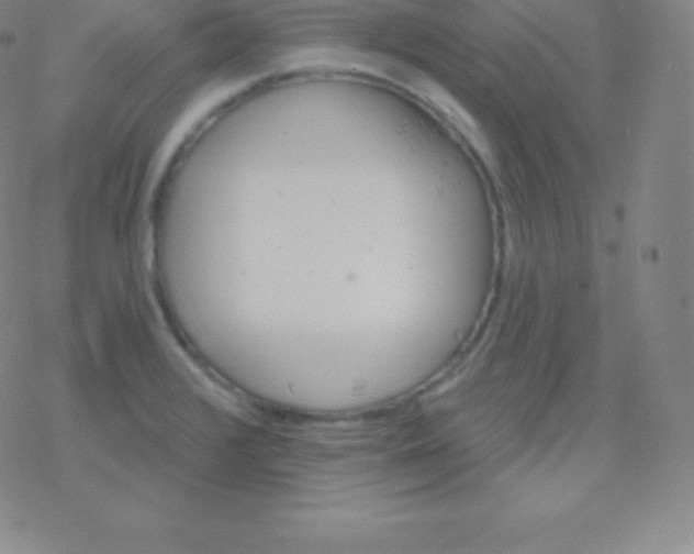 X0000077351376200611101603