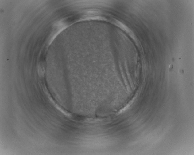 X0000077351377200611101603