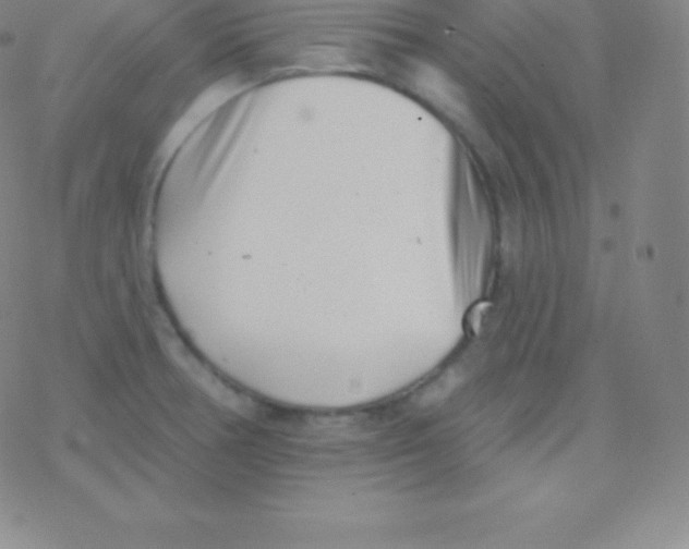 X0000077351378200611101603