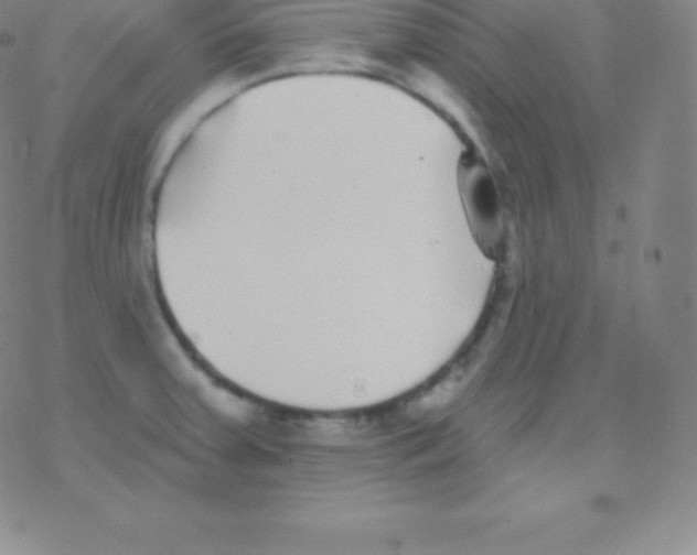 X0000077351379200611101603