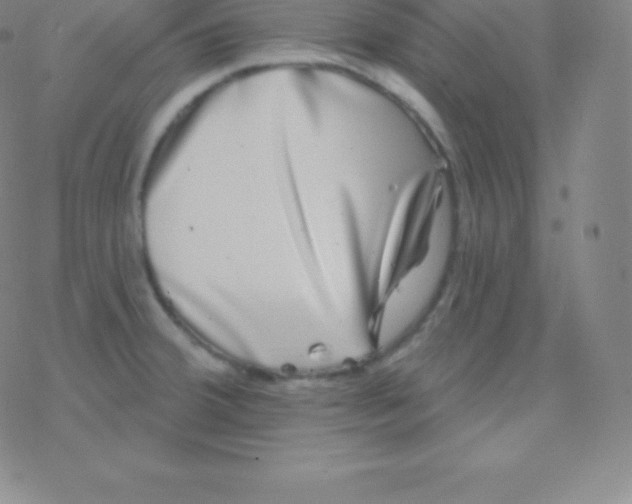 X0000077351380200611101603