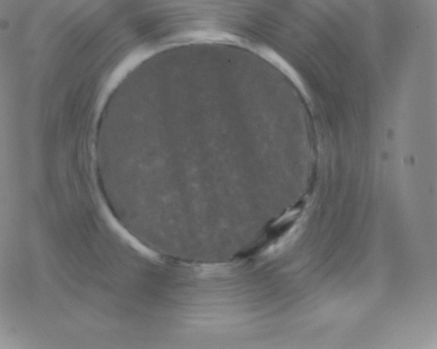 X0000077351381200611101603