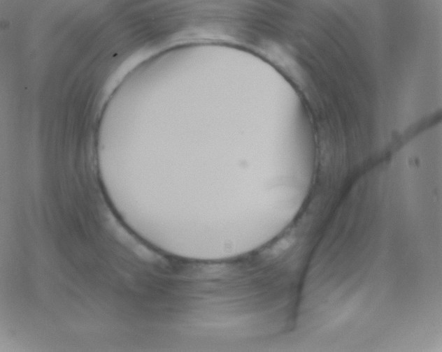 X0000077351382200611101603