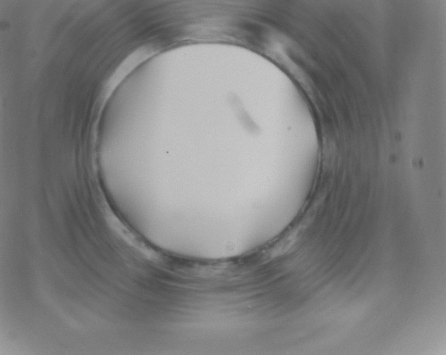 X0000077351386200611101603