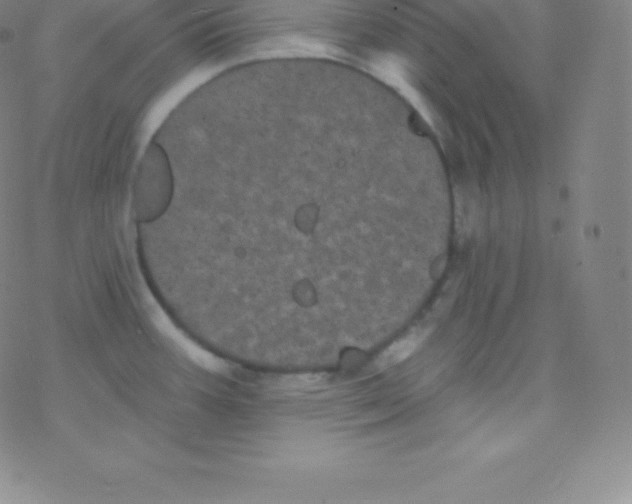 X0000077351387200611101603