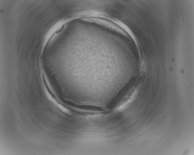 X0000077351389200611101603